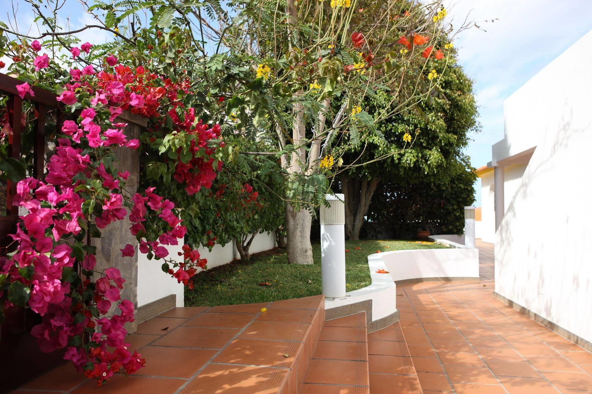 Canico Bay Apartments المظهر الخارجي الصورة
